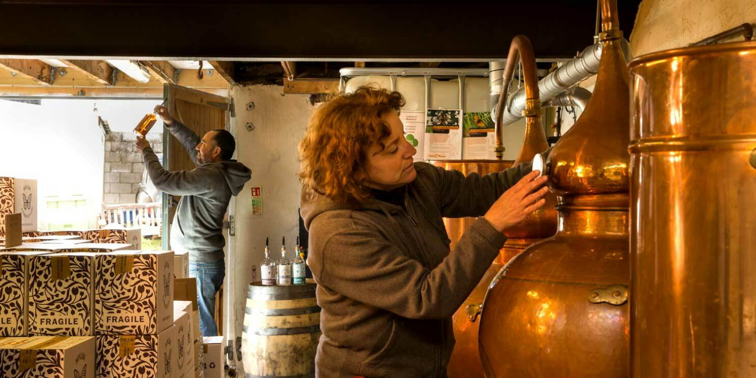 Gin Distillery Devon