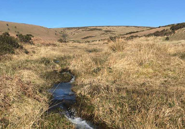 Grimspound Dartmoor